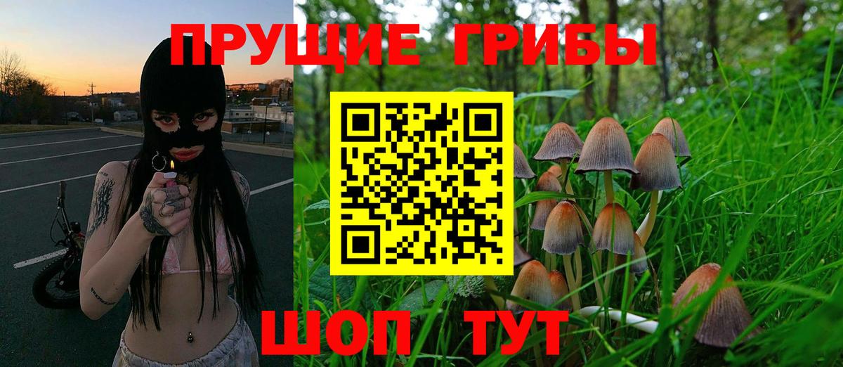 Галлюциногенные грибы ЛСД  Галлюциногенные грибы Psilocybine cubensis  Ижевск  магазин  наркотиков  Вход с VPN 