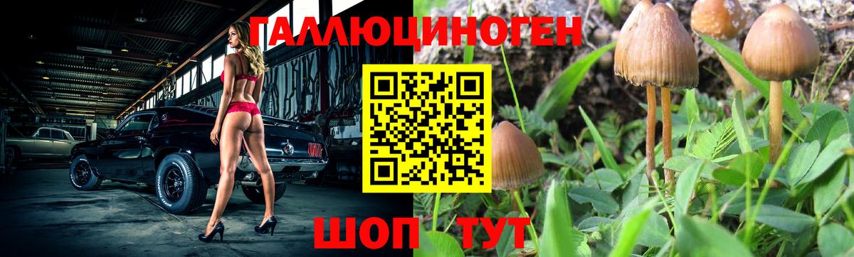 Псилоцибиновые грибы GOLDEN TEACHER Ижевск