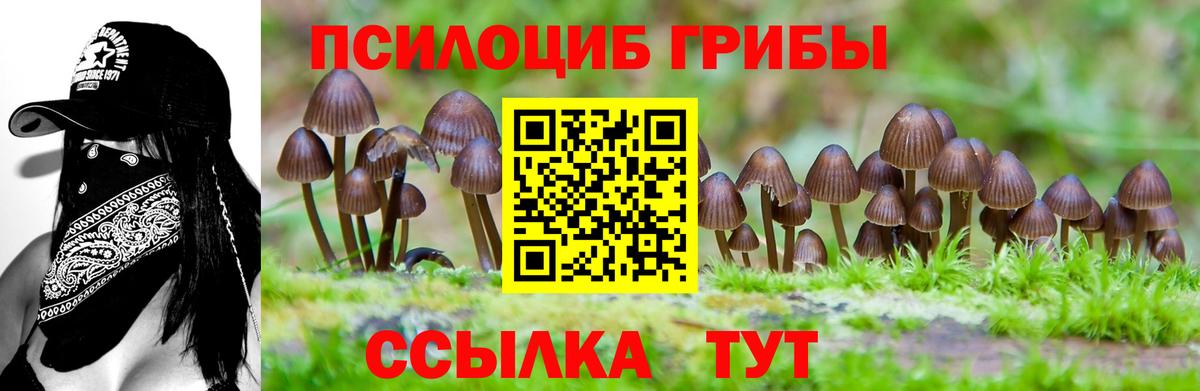 Псилоцибиновые грибы Ижевск